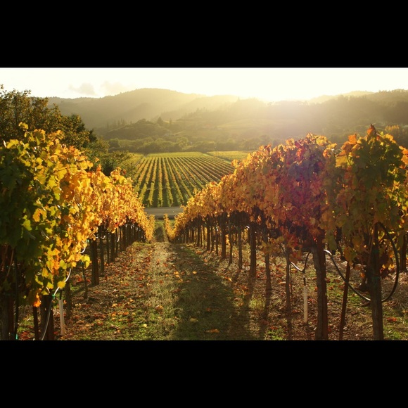 Meet your Posher, Christina - Picture 3 of 7